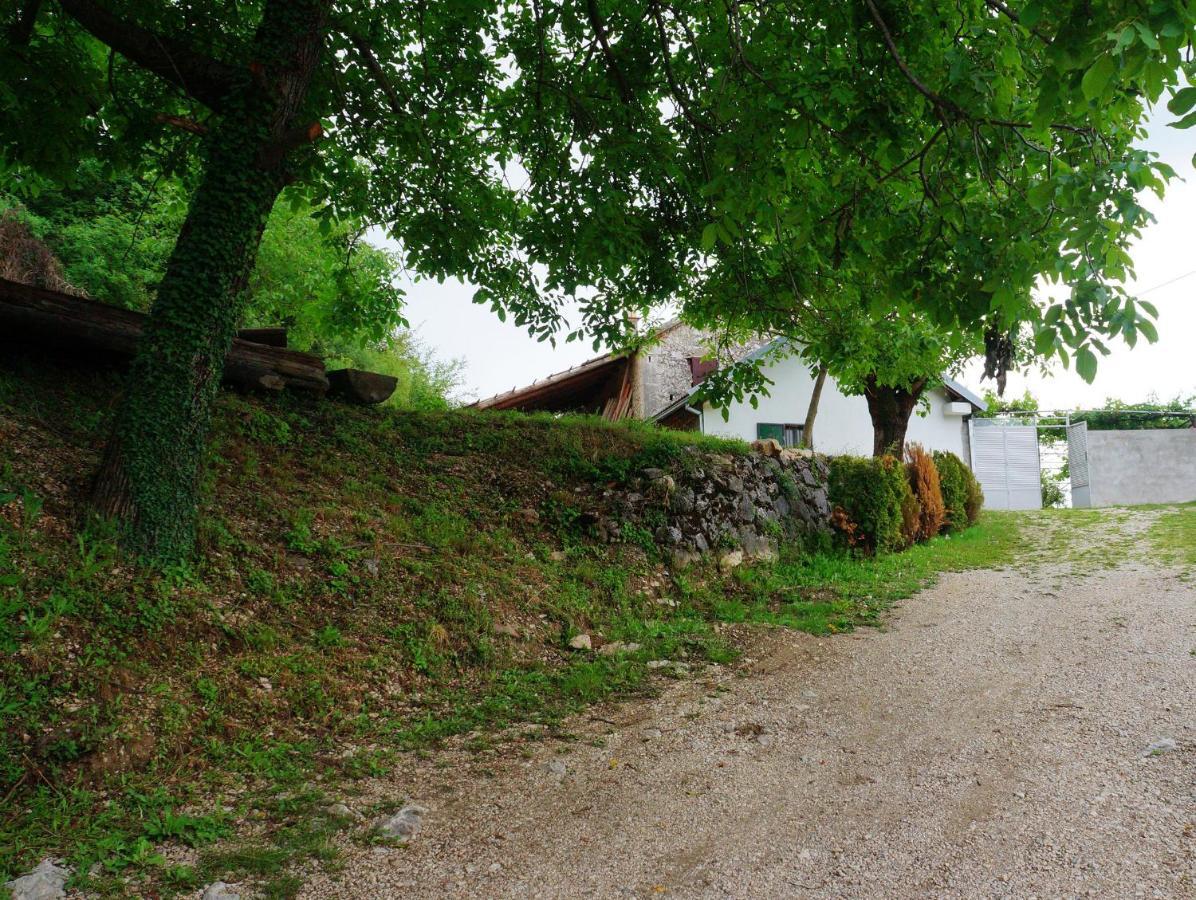 Appartement Old House Kontic à Nikšić Extérieur photo